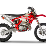 2019 EC 300 cc