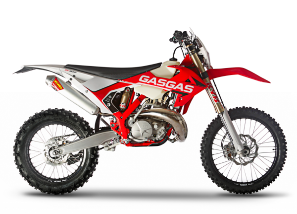 2019 EC 300 cc