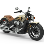 2020 Scout