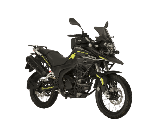 2019 TT 250 ADVENTOUR